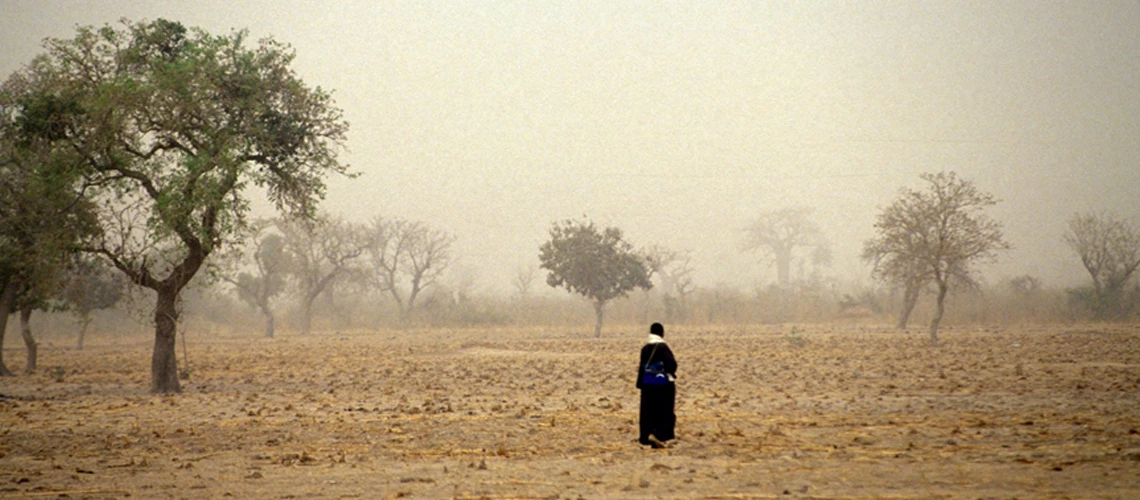 Inclure les personnes dans le besoin quand elles en ont besoin : l’importance des registres sociaux dynamiques dans les zones exposées aux chocs comme le Sahel