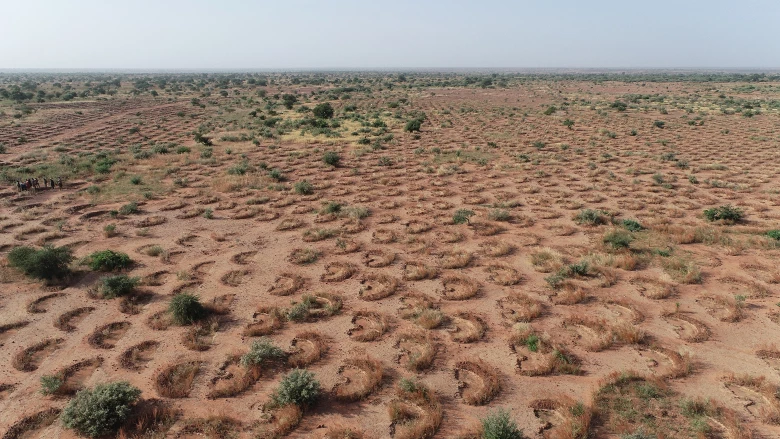 Sahel RESILAND: Scaling-up sustainable solutions for dryland forests